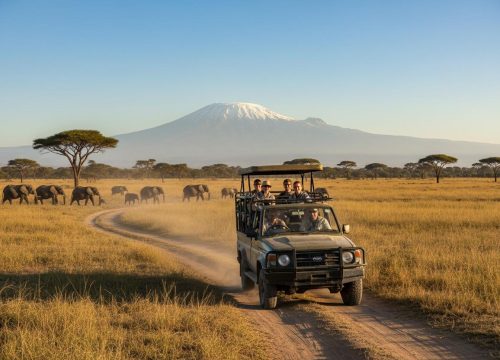 The Ultimate Guide to Planning a Safari in Kenya (2026)