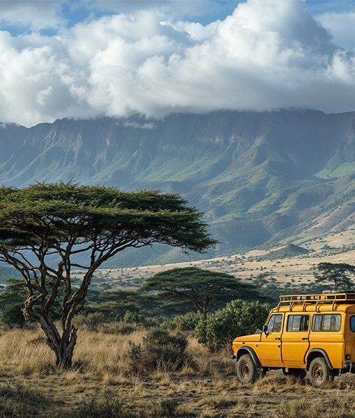 Wildlife Safaris